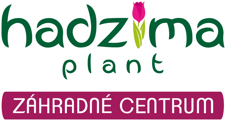Hadzima Plant