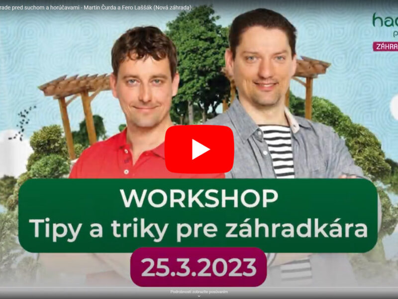 workshop