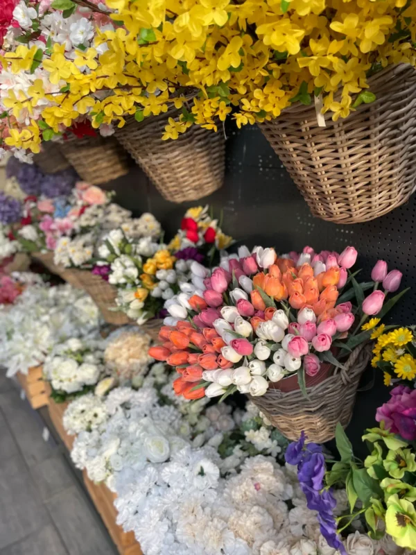 Jarná kolekcia v Hadzima Plant (10)