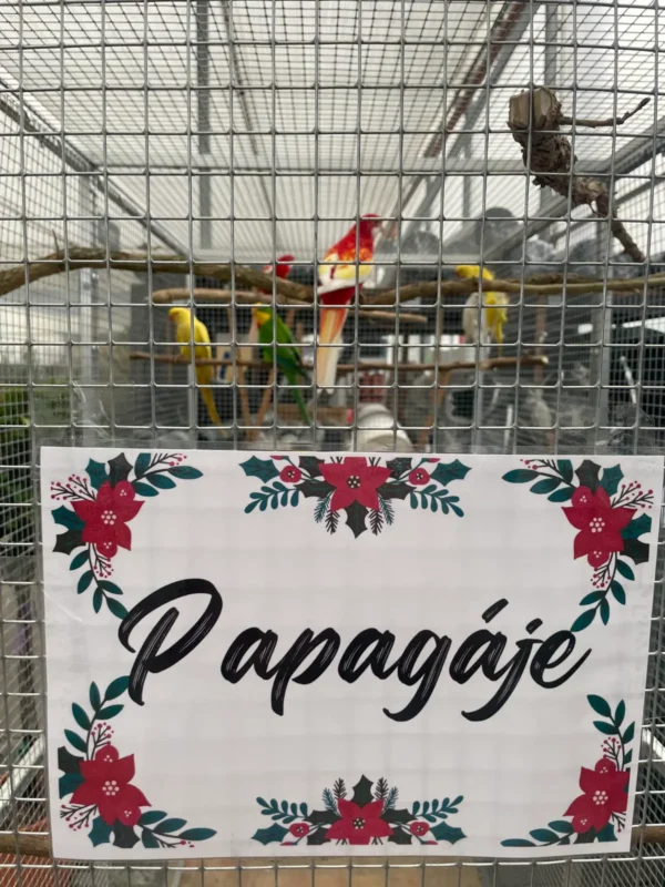 Mikulášska sobota 2025 - Hadzima Plant Špačince
