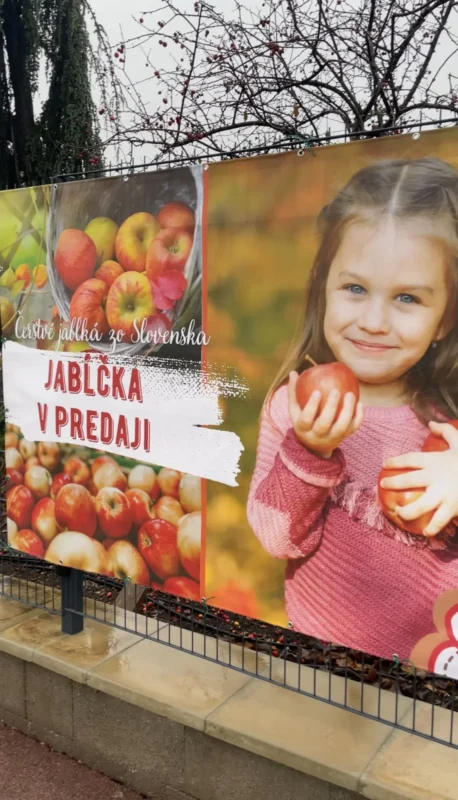 Novinka - Odteraz v predaji slovenské jabĺčka - Hadzima Plant Špačince (4)