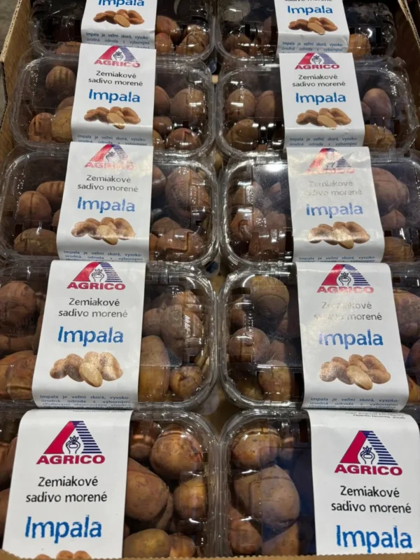Zemiaky už v predaji - Hadzima Plant Špačince