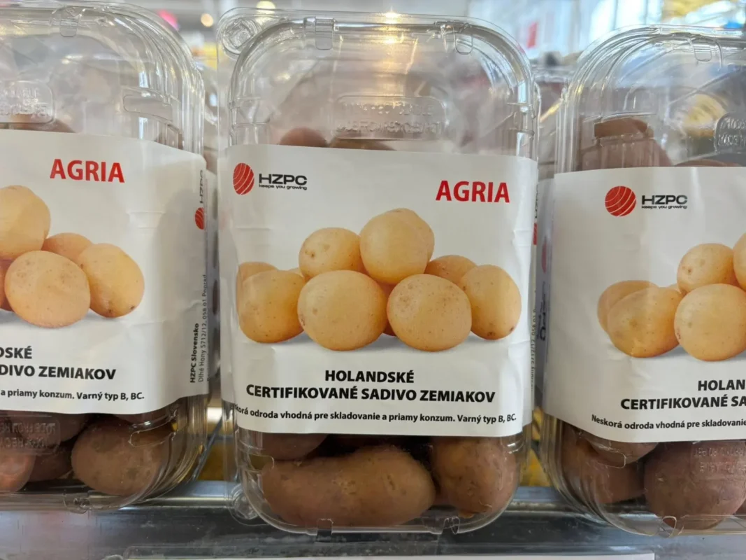 Zemiaky už v predaji - Hadzima Plant Špačince