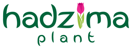 Hadzima Plant logo